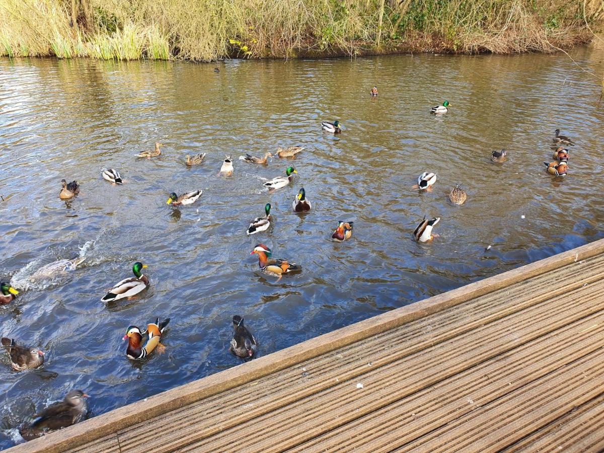 Kew Gardens - Private Double Room Richmond London - Homestay Εξωτερικό φωτογραφία