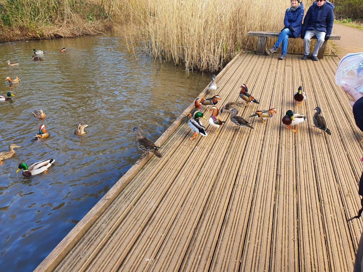 Kew Gardens - Private Double Room Richmond London - Homestay Εξωτερικό φωτογραφία