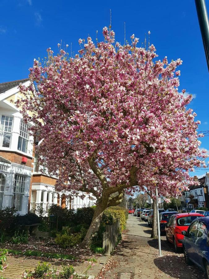 Kew Gardens - Private Double Room Richmond London - Homestay Εξωτερικό φωτογραφία